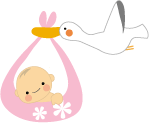 赤ちゃん.gif